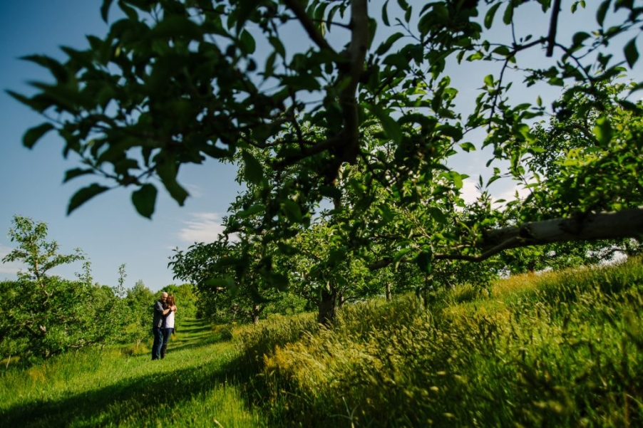 nature and composition