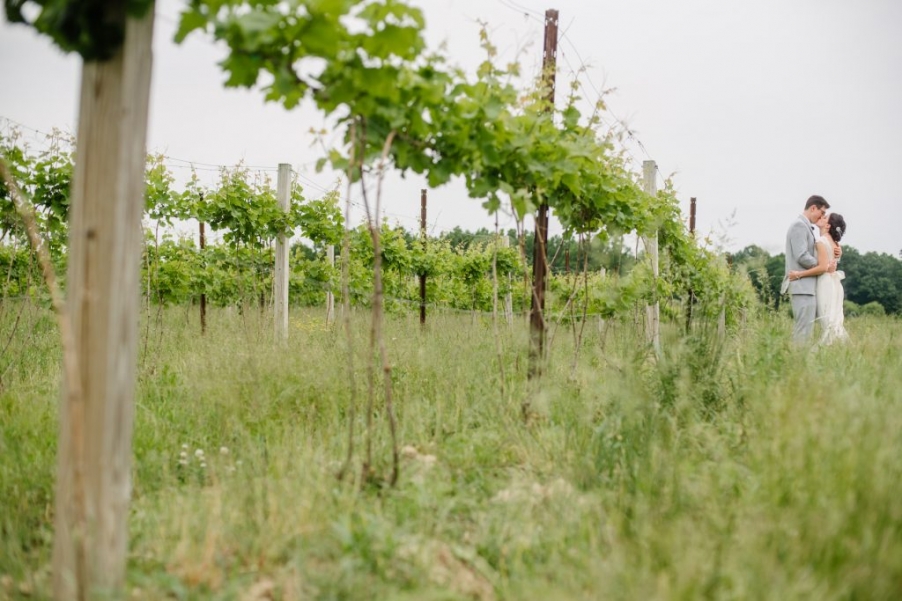 vermillion valley vineyard wedding