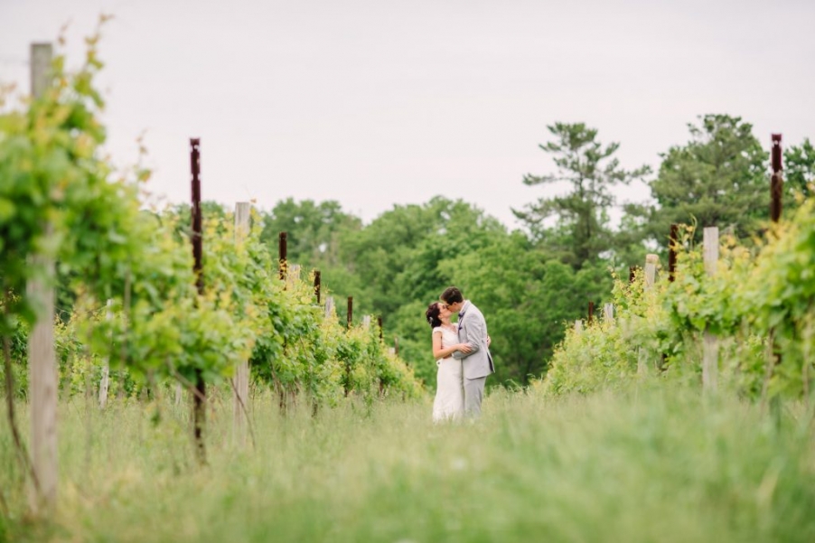 vermillion valley vineyard wedding