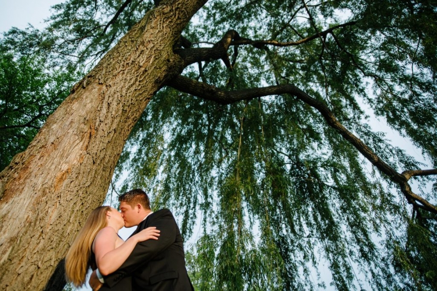 weeping willow tree wade oval